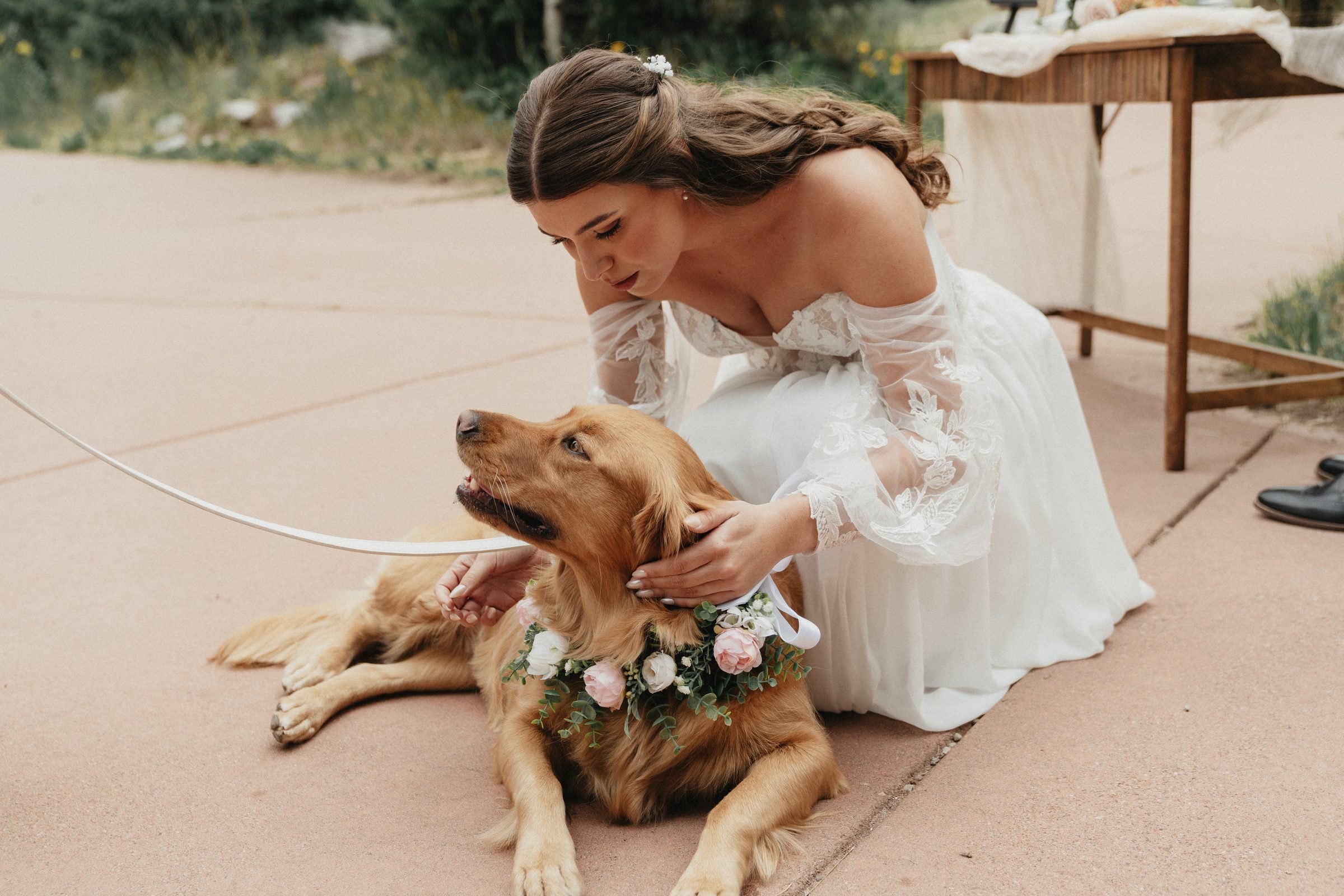 Bride in a lace-sleeved gown kneels to pet a golden retriever wearing a flower collar